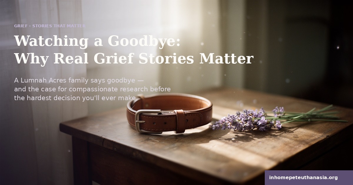 A worn leather dog collar resting on a sunlit wooden side table beside a sprig of lavender, evoking quiet remembrance.