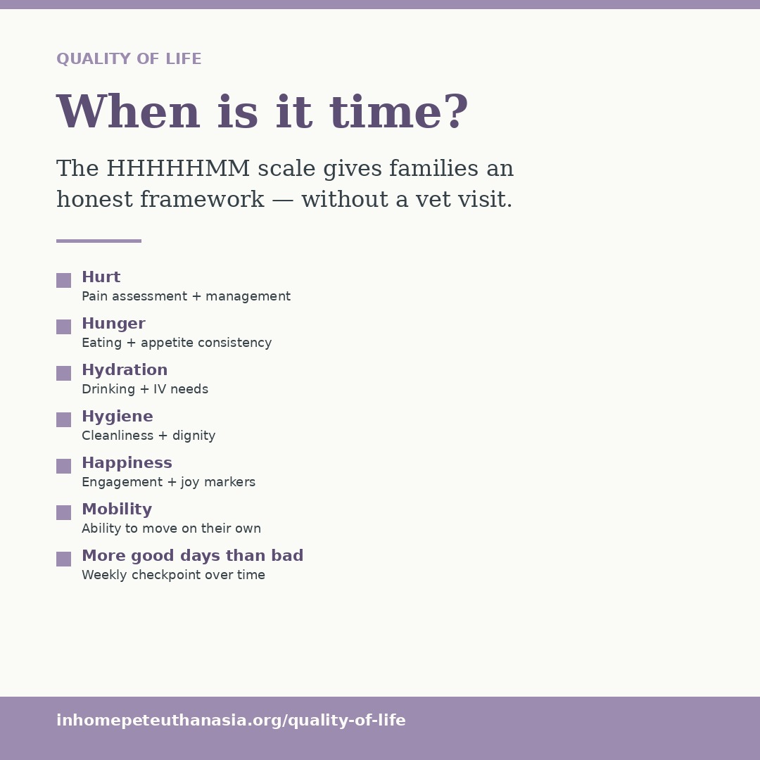 The HHHHHMM Quality-of-Life Scale — seven categories listed in lavender on a cream background: Hurt, Hunger, Hydration, Hygiene, Happiness, Mobility, More good days than bad.